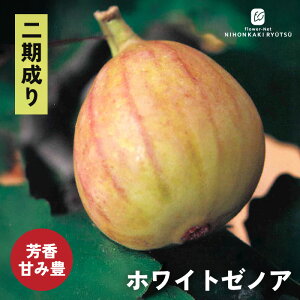�c �C�`�W�N