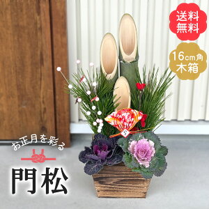 \̔ 叼 ؔ sbNt 16cmpؔ   VN }t Mtgv[g A  12{ȍ~