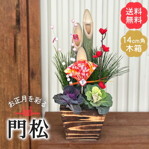 \̔ 叼 ؔ sbNt 14cmpؔ   VN }t Mtgv[g A  12{ȍ~