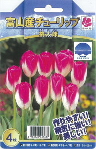 チューリップ球根の通販 価格比較 価格 Com チューリップ球根の通販 価格比較 価格 Com