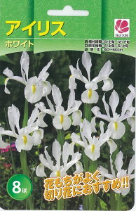 アイリス 花の人気商品 通販 価格比較 価格 Com