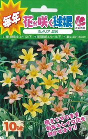 楽天市場 毎年 咲く 花の通販