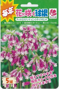 球根 花 ピンクの人気商品 通販 価格比較 価格 Com 球根 花 ピンクの人気商品 通販 価格比較 価格 Com
