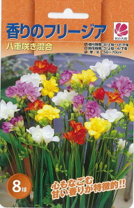 バラ 球根の人気商品 通販 価格比較 価格 Com バラ 球根の人気商品 通販 価格比較 価格 Com