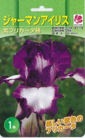 楽天市場 球根 菖蒲の通販