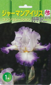 楽天市場 球根 菖蒲の通販
