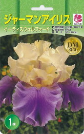 楽天市場 球根 菖蒲の通販