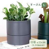 カラーが選べる植木鉢 すーさん Lサイズ 資 PP-0255-L 3.5号 受皿付 陶器 鉢 食虫植物 インテリア おしゃ…