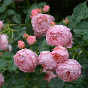 \̔ oc oc T IGeBX }eBbN`` io^o蒆 lG炫 KN ΂  sN hao 2{ȍ~