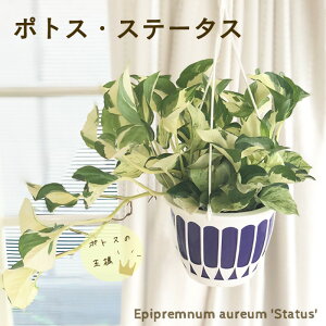 ϗtA |gX Xe[^X 5 ݂蔫 ݂艺 nMO ϗtA  蕨 v[g CeA 