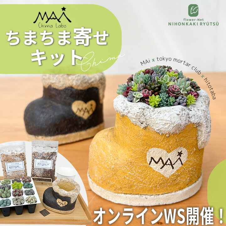 2 3 ヤマアジサイのシックな寄せ植え 家庭菜園 All About