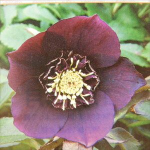 NX}X[Yc Z~_u p[v Rz 9cm|bg h K[fjO sgy