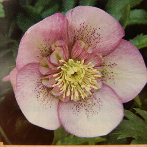 NX}X[Yc Z~_u sN Rz 9cm|bg h K[fjO sgy