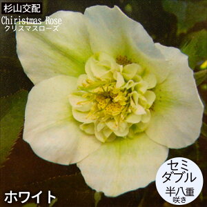 NX}X[Yc Z~_u zCg Rz 9cm|bg h K[fjO sgy