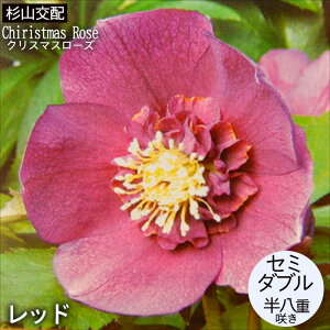 NX}X[Yc Z~_u bh Rz 9cm|bg h K[fjO sgy