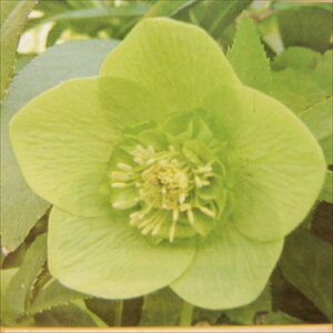 NX}X[Yc Z~_u O[ Rz 9cm|bg h K[fjO sgy