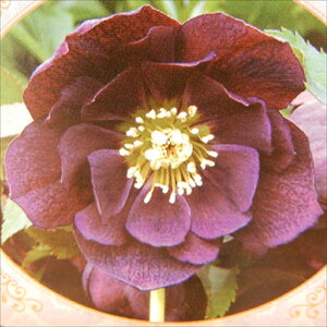 NX}X[Yc _u p[v Rz 9cm|bg h K[fjO sgy