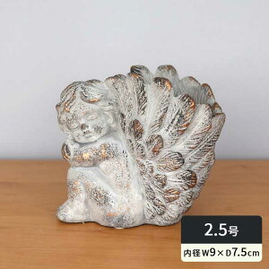  Aؔ ER60GY AQX|bgB L O[S[h 2.5 ꌊ  AeB[N Zg dlk