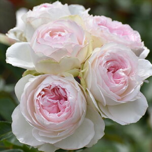 \̔ oc oc T IGeBX NT[k io^o蒆 lG炫 KN ΂  sN hao 2{ȍ~