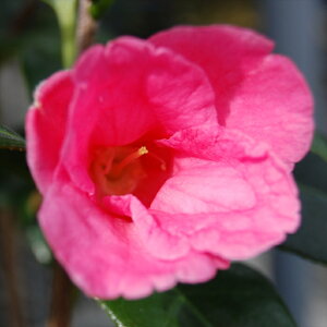 \̔ ̏ g̏ 9cm|bg  ΂ coL  ؂  Ԗ akq 2{ȍ~