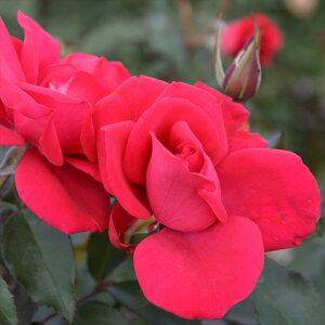 s\ y2025NtViz oc oc T IGeBX CZvV io^o蒆 lG炫 KN ΂   hao 3{ȍ~