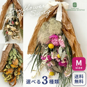 IׂhCt[ XbO MTCY  CeA  fBXvC AeB[N   u[P hCt[{ Mtg v[g dfl