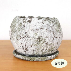  ER-4041L MG 6 ۃ{[ Mt   Aؔ CeA A  ϗtA mrk