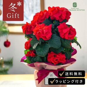 |CZ`A EB^[[Y A[[bh 5  bsOt [tHrA |CZ`A Ε ~Mtg v[g A 