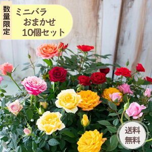 yʌI1|bg298~z ~jo 10i 10Zbg 3|bg ܂   lG炫 o KN oc c