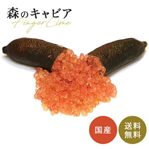 tBK[C sNp[ 5 c ʎc  tBK[CWp flj