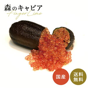 tBK[C bhr[ 5 c ʎc  tBK[CWp flj