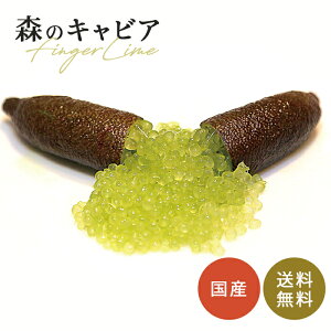 tBK[C AXgr 5 c ʎc  tBK[CWp flj