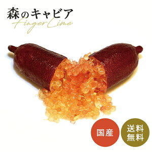 tBK[C bhVp 5 c ʎc  tBK[CWp flj