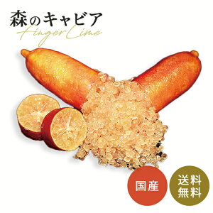 tBK[C TACX 5 c ʎc  tBK[CWp flj