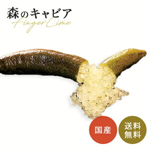 tBK[C `R[glbg 5 c ʎc  tBK[CWp flj