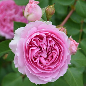 \̔ oc oc T IGeBX Oi낤j io^o蒆 lG炫 KN ΂  sN hao 2{ȍ~