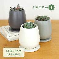 カラーが選べる植木鉢 たまごさん Sサイズ 資 PP-0032-S 2号 受皿付 陶器 鉢 インテリア 多肉植物 おしゃ…