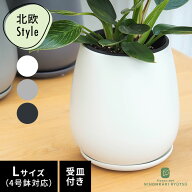 カラーが選べる植木鉢 たまごさん Lサイズ 資 PP-0032-L 4号 受皿付 陶器 鉢 インテリア 多肉植物 おしゃ…