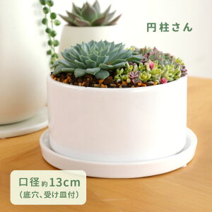 ~  PP-0128S-WH 4 Mt   CeA A  ϗtA plt