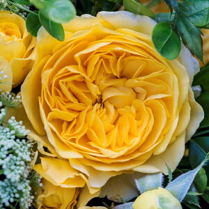 \̔ oc oc ^^E |X At@ io^o蒆 KN ΂  o c F kso 2{ȍ~