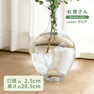 ₳ NA  PCVG-7M-CL 17cm×28.5cm KX ԕr t[x[X CeA  ϗtA plt