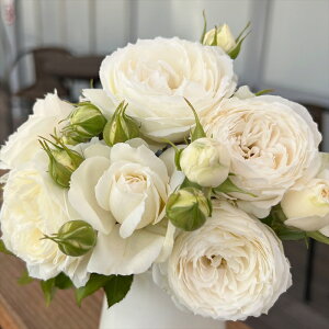 \̔ oc oc ㉀| Xm[g lG炫 KN ΂   F kho 2{ȍ~