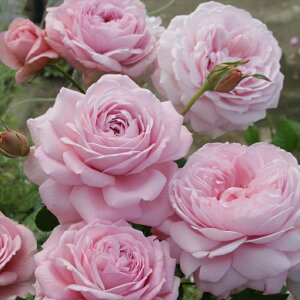 \̔ oc oc ㉀| K lG炫 KN ΂  sN kho 2{ȍ~