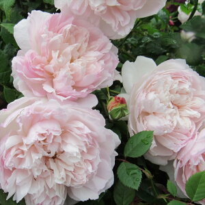 \̔ oc oc ㉀| \C lG炫 KN ΂  sN kho 2{ȍ~