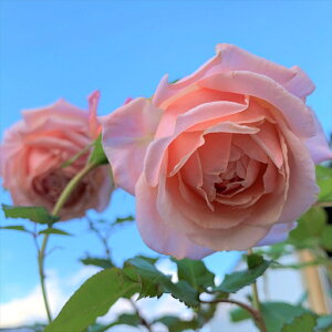 \̔ oc oc ㉀|  lG炫 KN ΂  sN kho 2{ȍ~