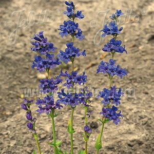 yXe c T 9cm|bg N K[fjO ԕc hc atm