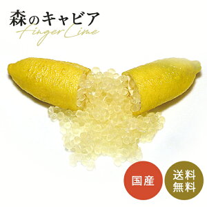 tBK[C j[CG[ 5 c ʎc  tBK[CWp flj