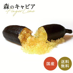 tBK[C [hbvX 5 c ʎc  tBK[CWp flj