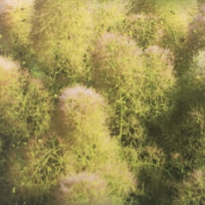 X[Nc[ O[t@Ee 5  c Ԗ sik