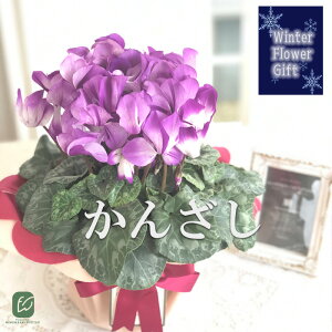 \̔ ɏVN 񂴂 5  bsOt hԉ Ε ~Mtg  Mtg v[g A  dks 12{ȍ~